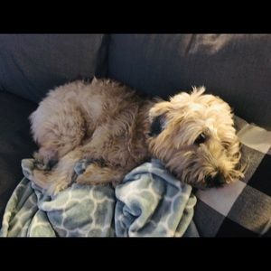 Meet your Posher, Tammy